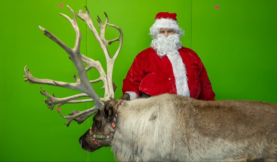 video production set filming funny christmas content with a live reindeer. Horizon visual media commercial video production