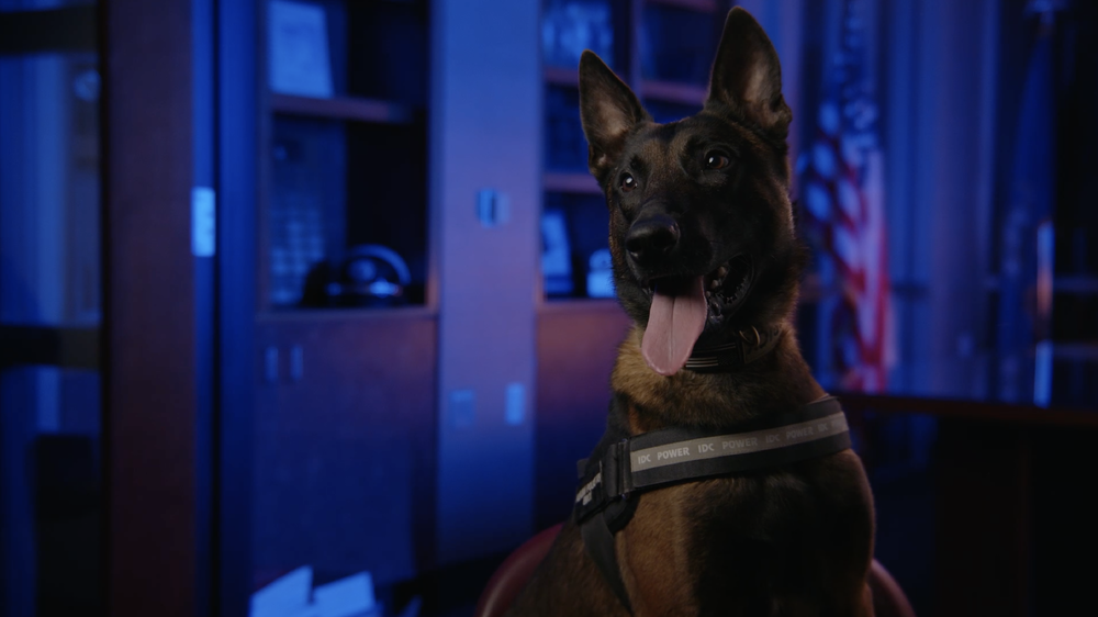 Fun behind the scenes of auburn police department recruitment video where we